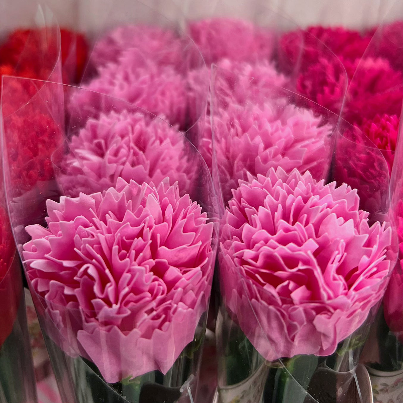 Œillet Fleur De Bain