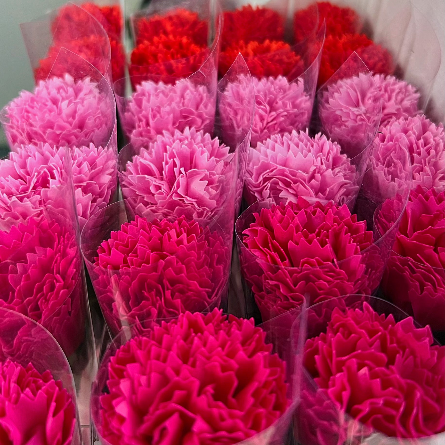 Œillet Fleur De Bain