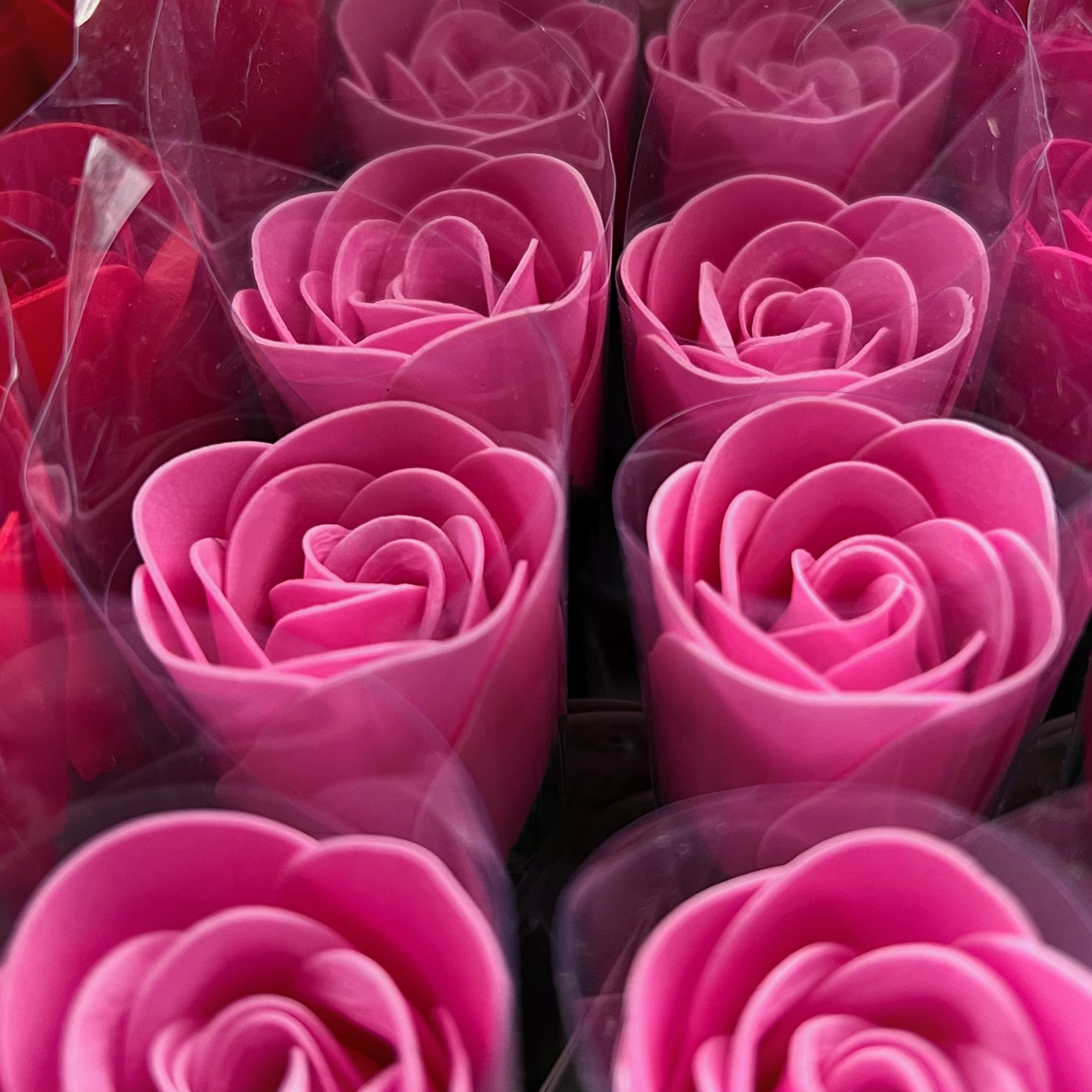 Rose (Fleur de Bain)