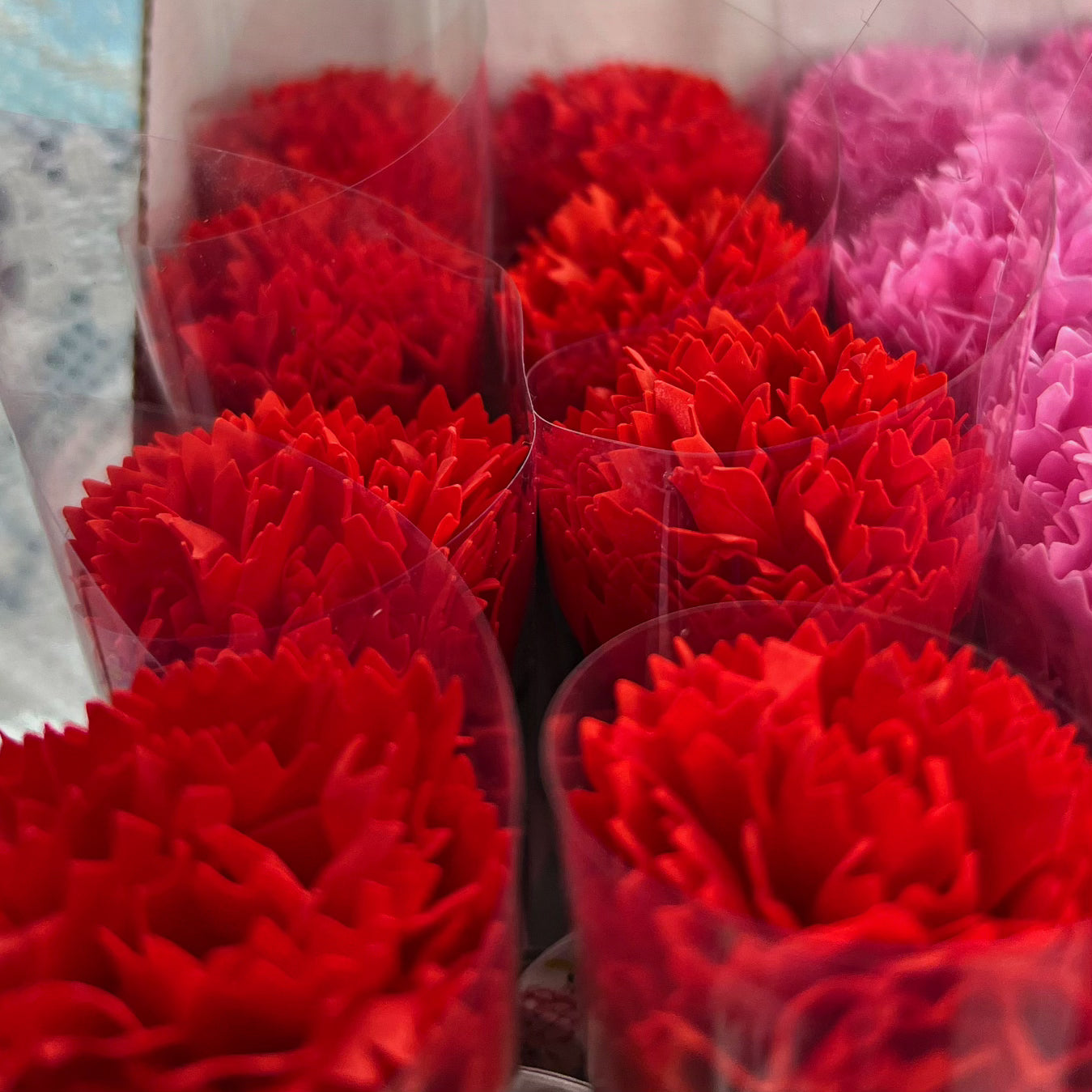 Œillet Fleur De Bain